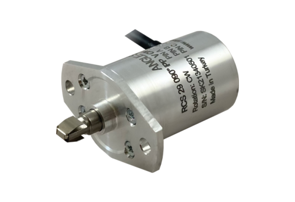RCS 29