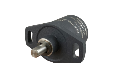RCS 3100